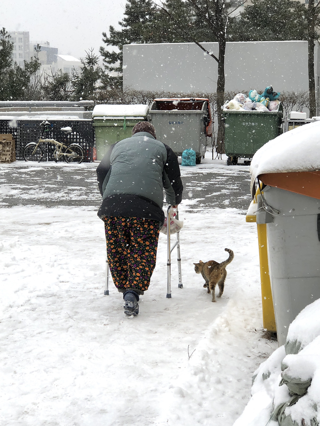 냐옹냐옹 꼬리를 세우고 밥을 달라고 해.jpg