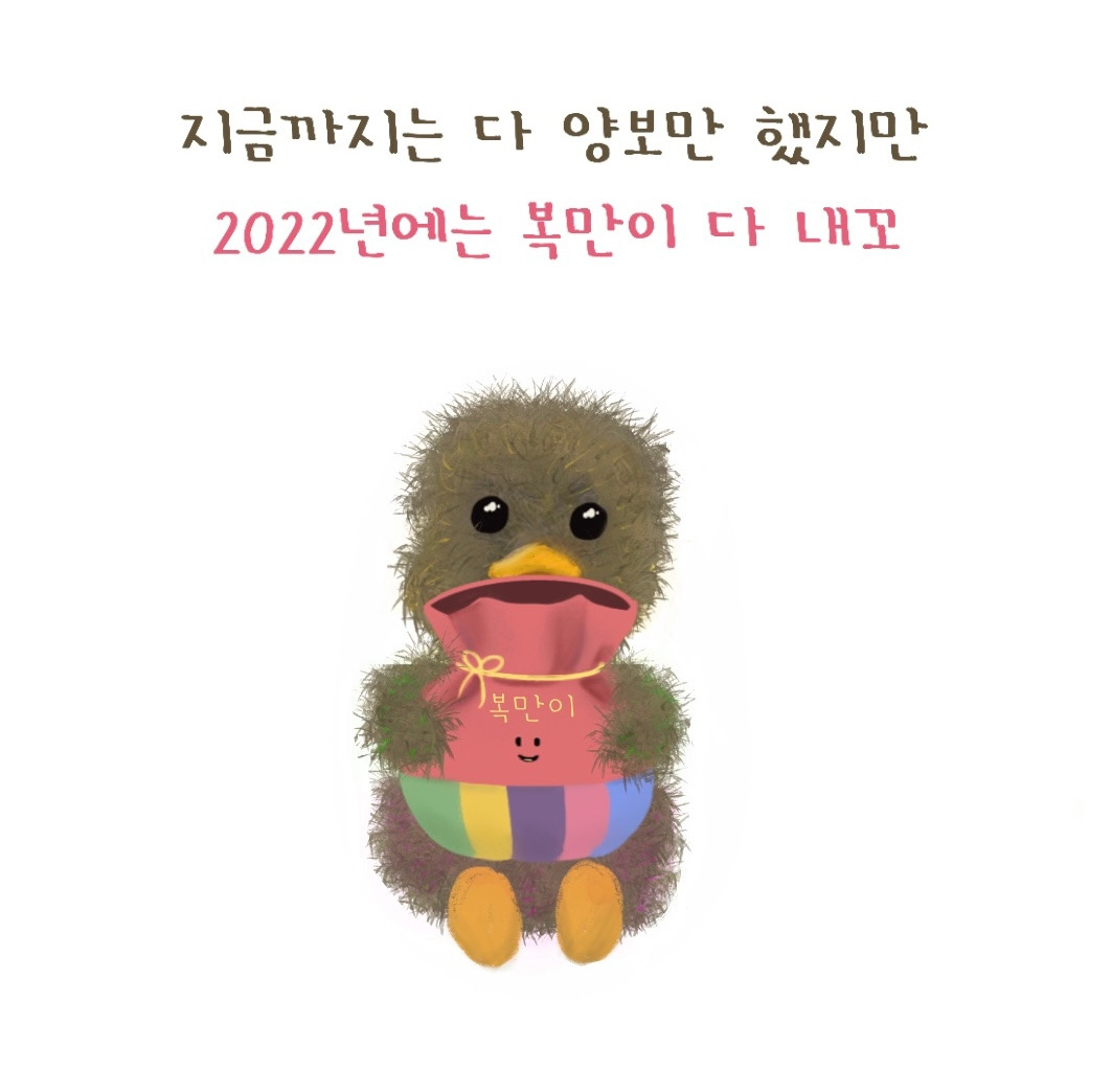 보우의 새해복만이받으세요