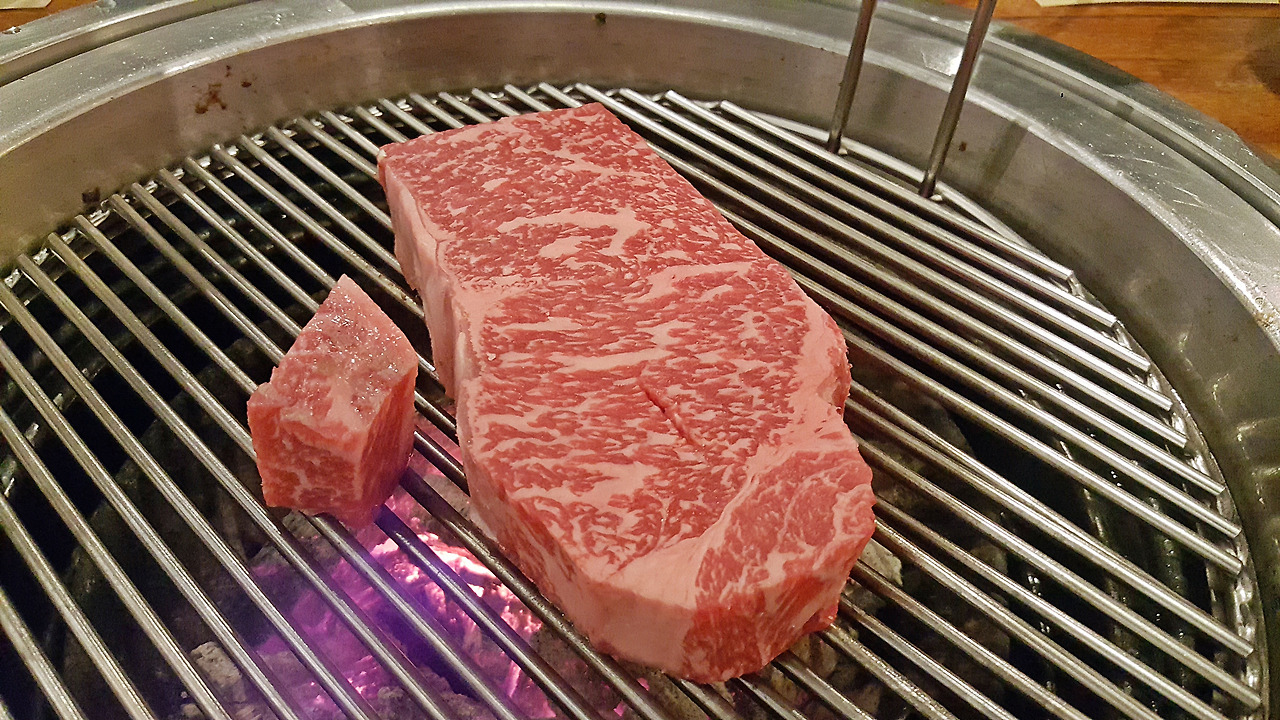 2017-01-23 19.48.22.jpg