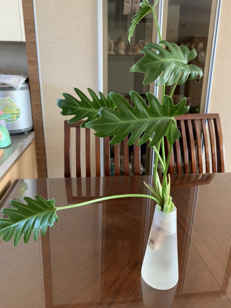 카지노 게임 사이트