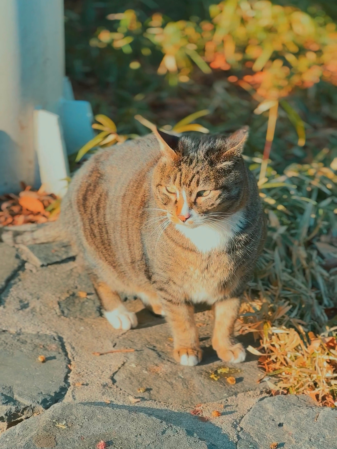 버캣리스트 6화 이중이 표지.jpg