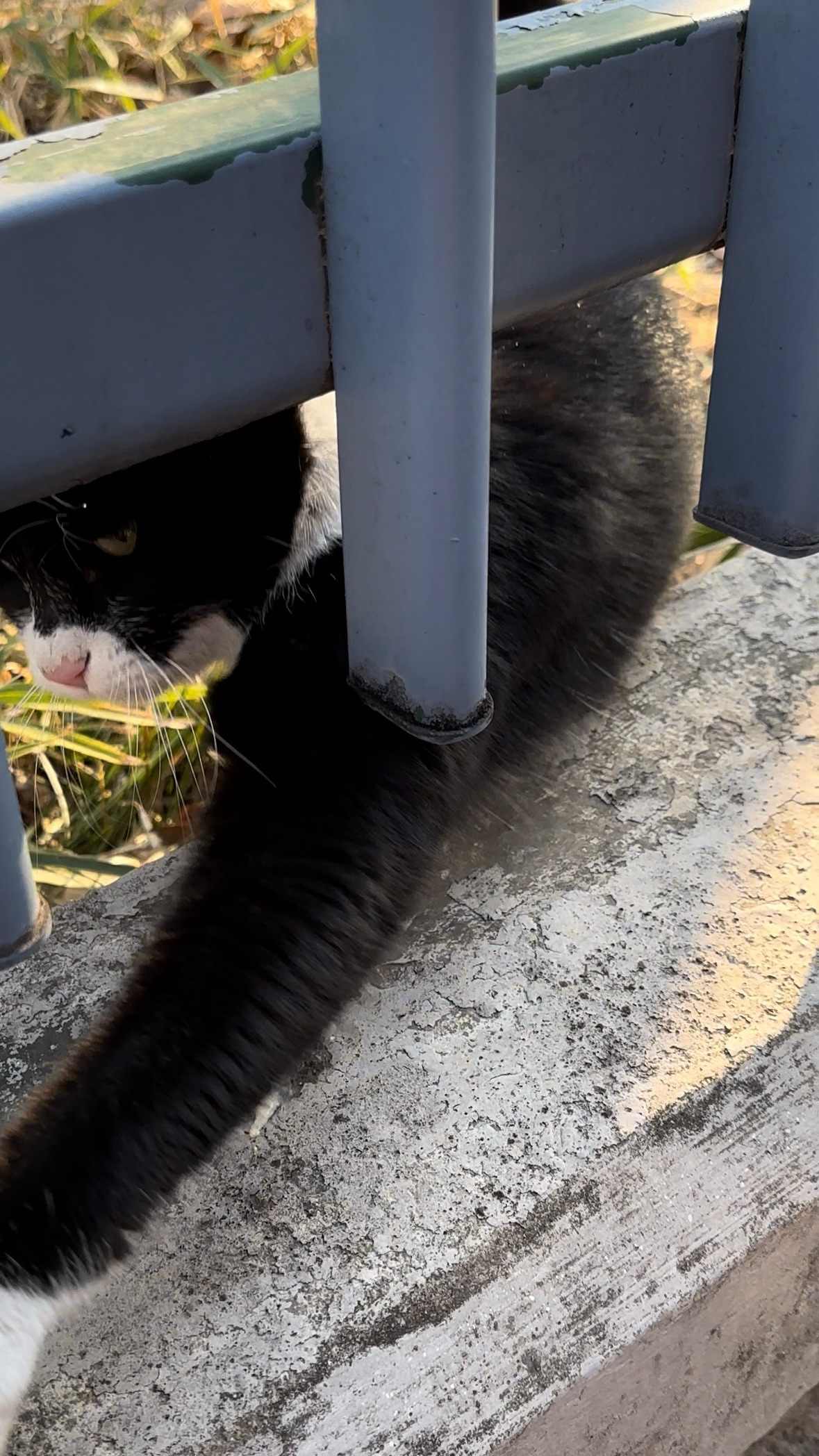 버캣리스트 5화 2.jpg