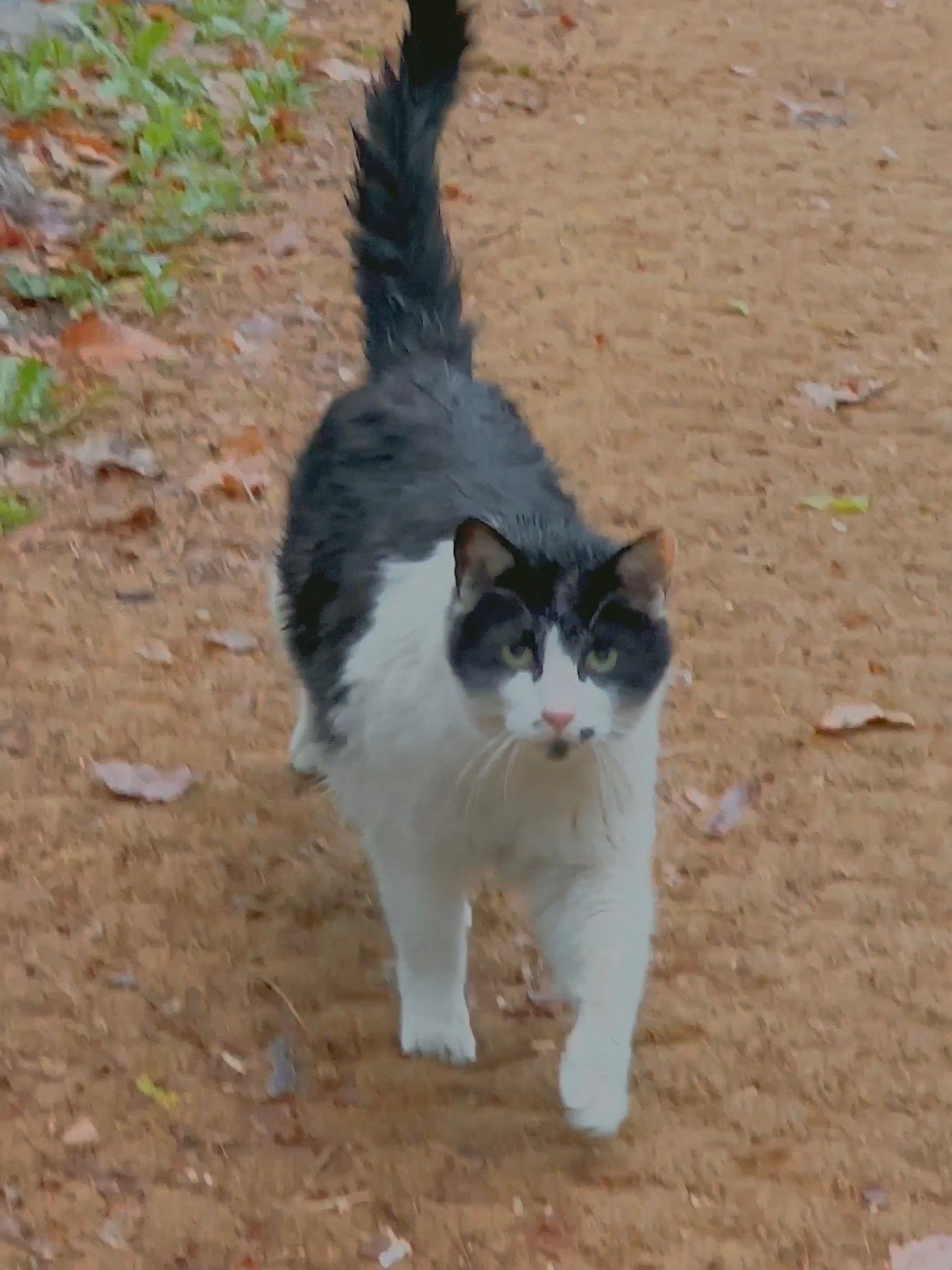 버캣리스트 7화 마를린5.jpg