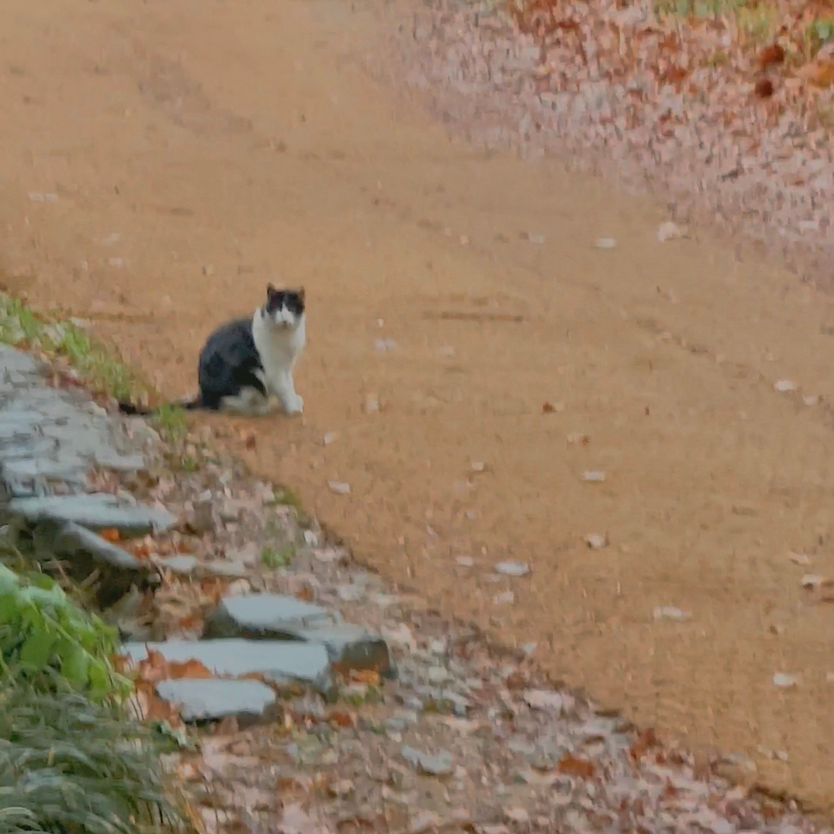 버캣리스트 7화 마를린4.jpg