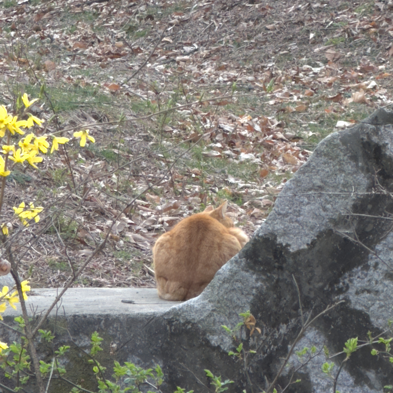 버캣리스트 4화 4.jpg