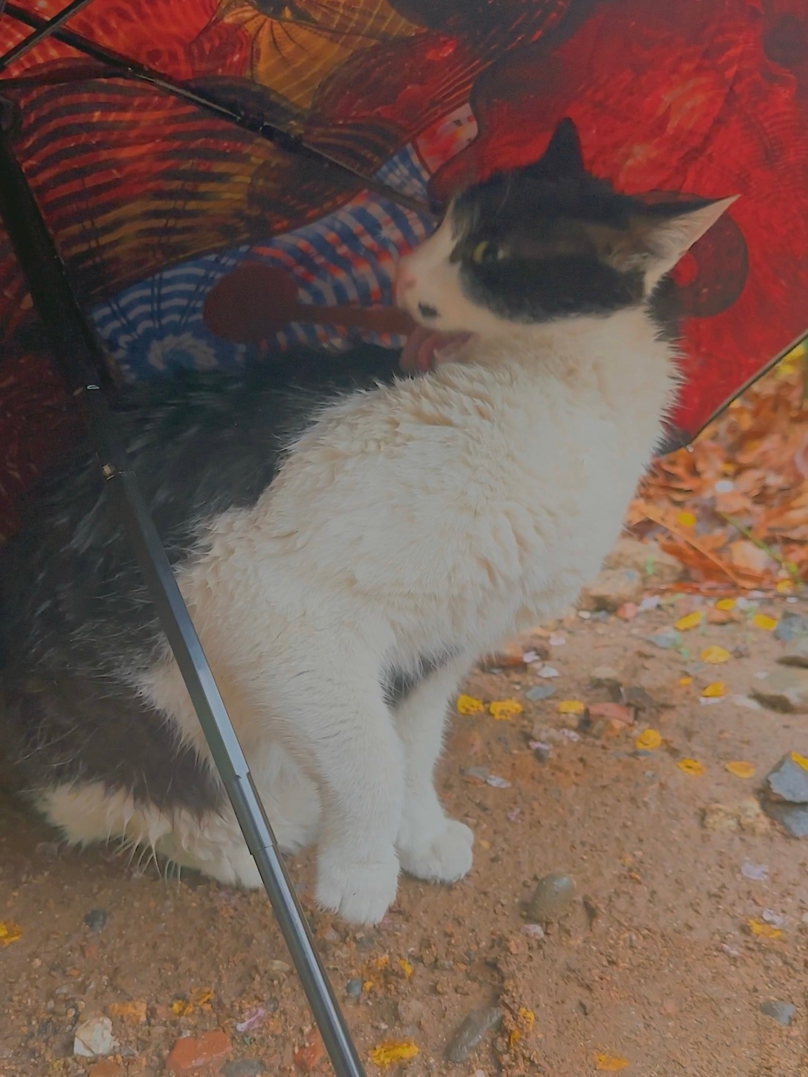 버캣리스트 7화 마를린7.jpg