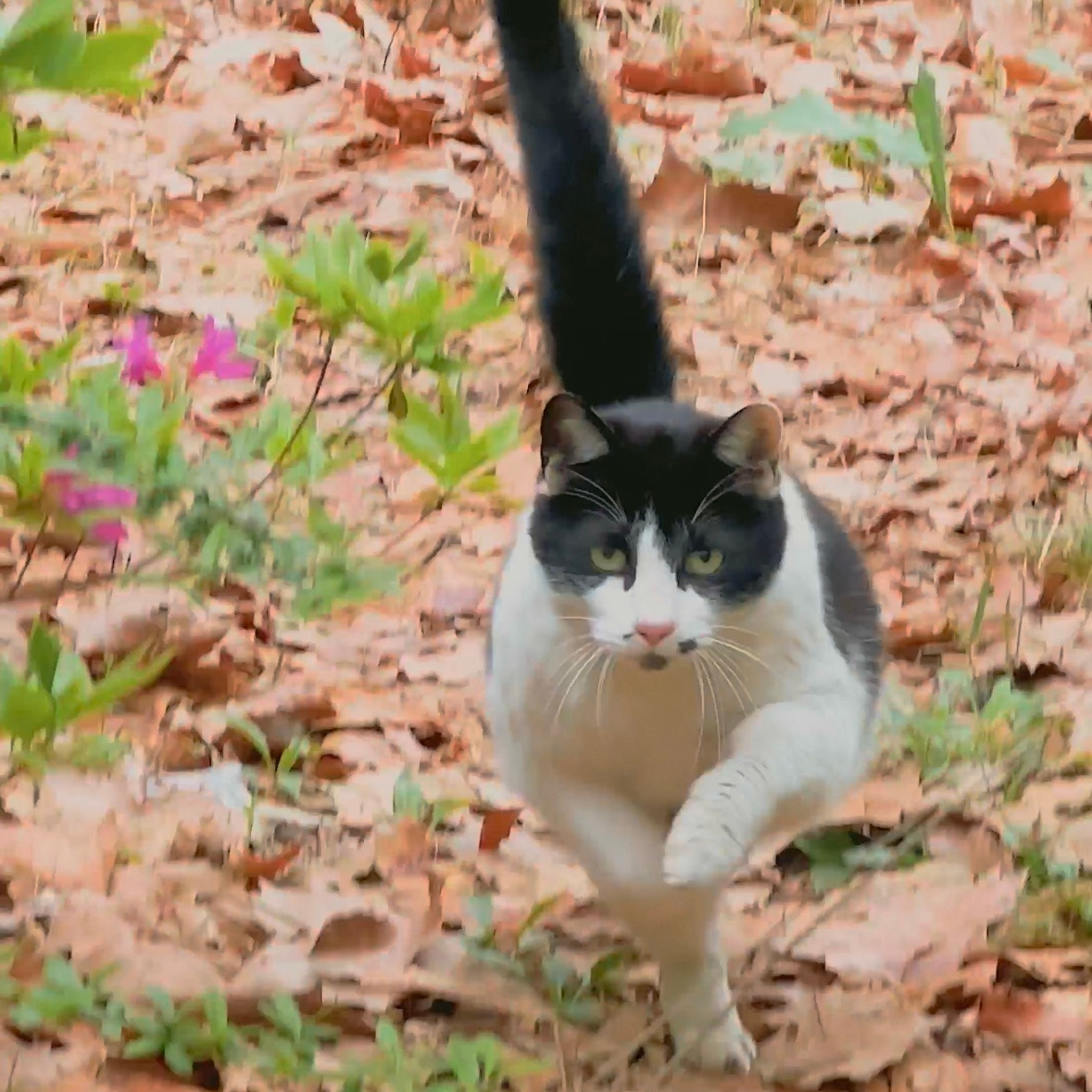 버캣리스트 9화 표지 사이즈.jpg