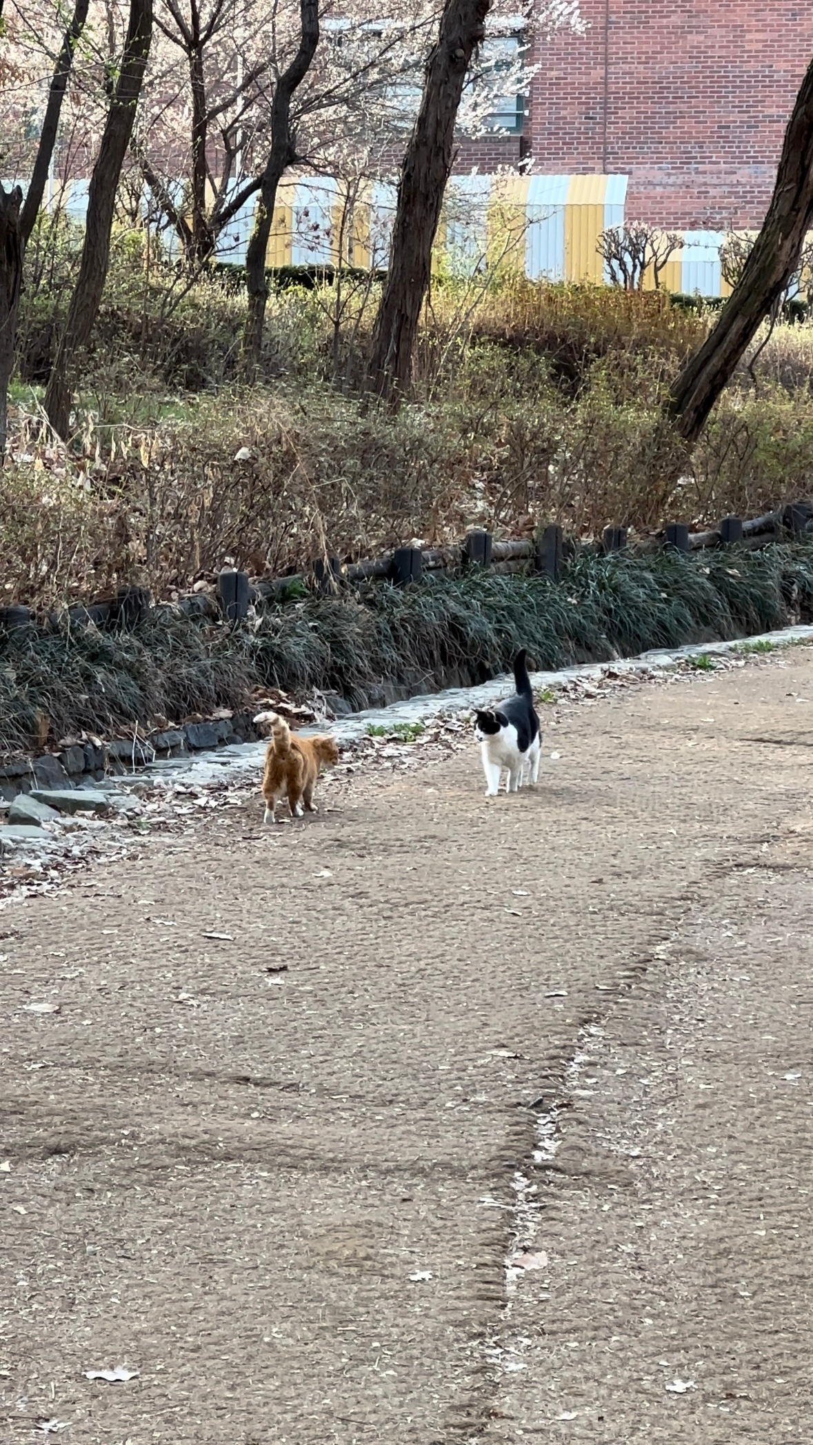 마를린을 부르는 먼로.jpg