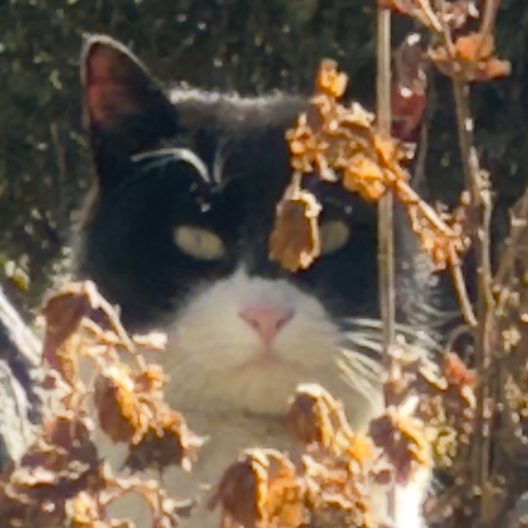 버캣리스트 5화 1.jpg