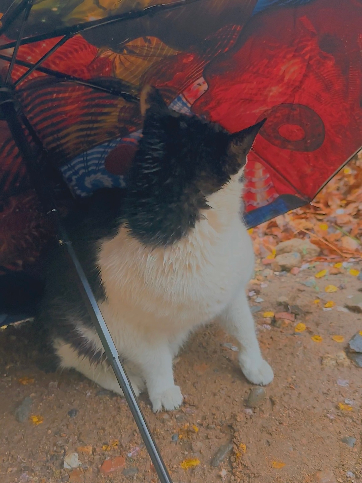 버캣리스트 7화 마를린6.jpg