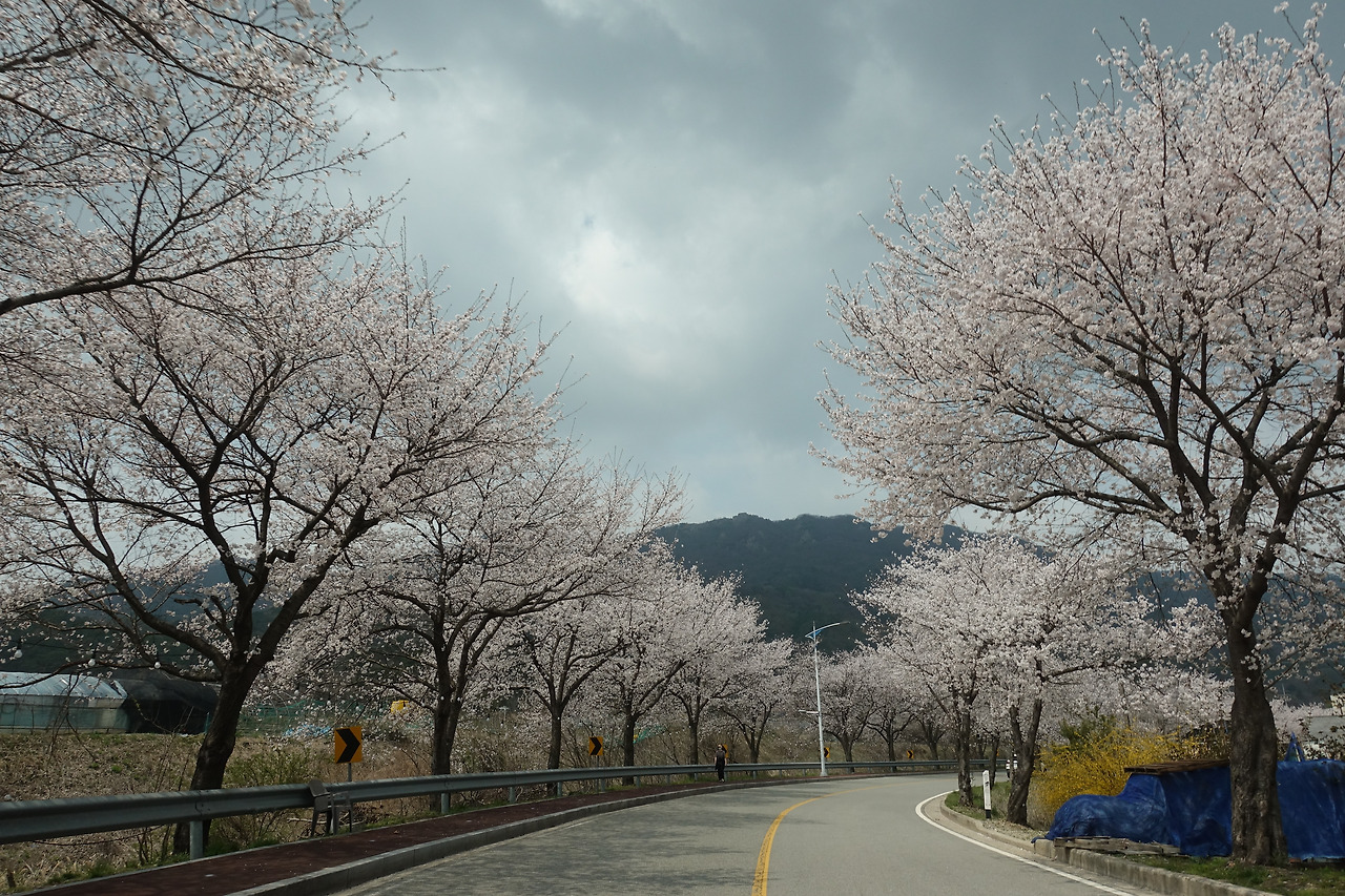 카지노 쿠폰