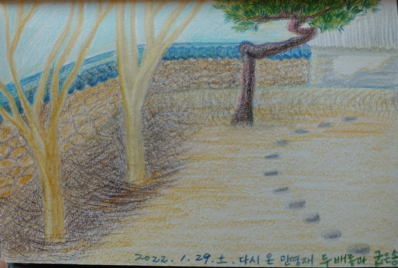 꼬마 정읍댁의 정원일기 9' (2).jpg