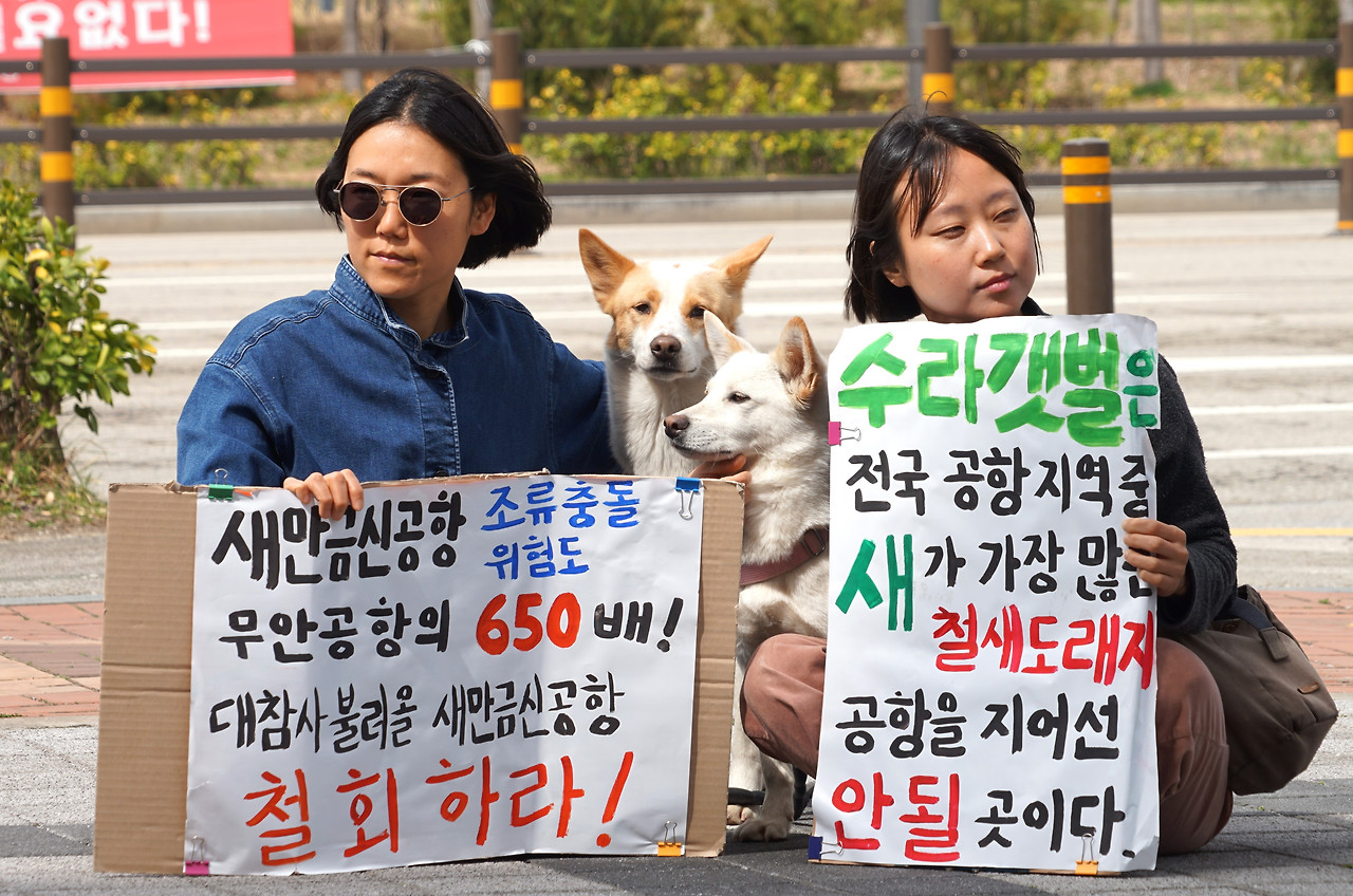 카지노 게임 사이트