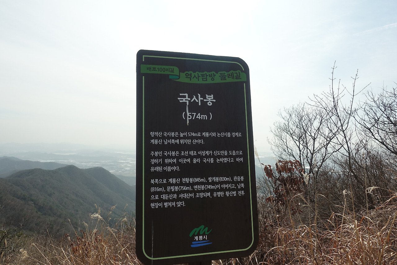 무료 카지노 게임