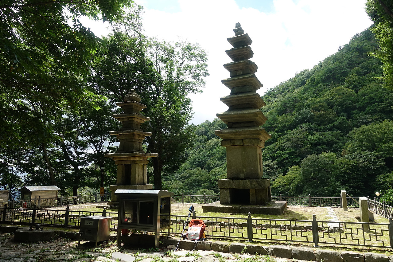 카지노 게임 사이트