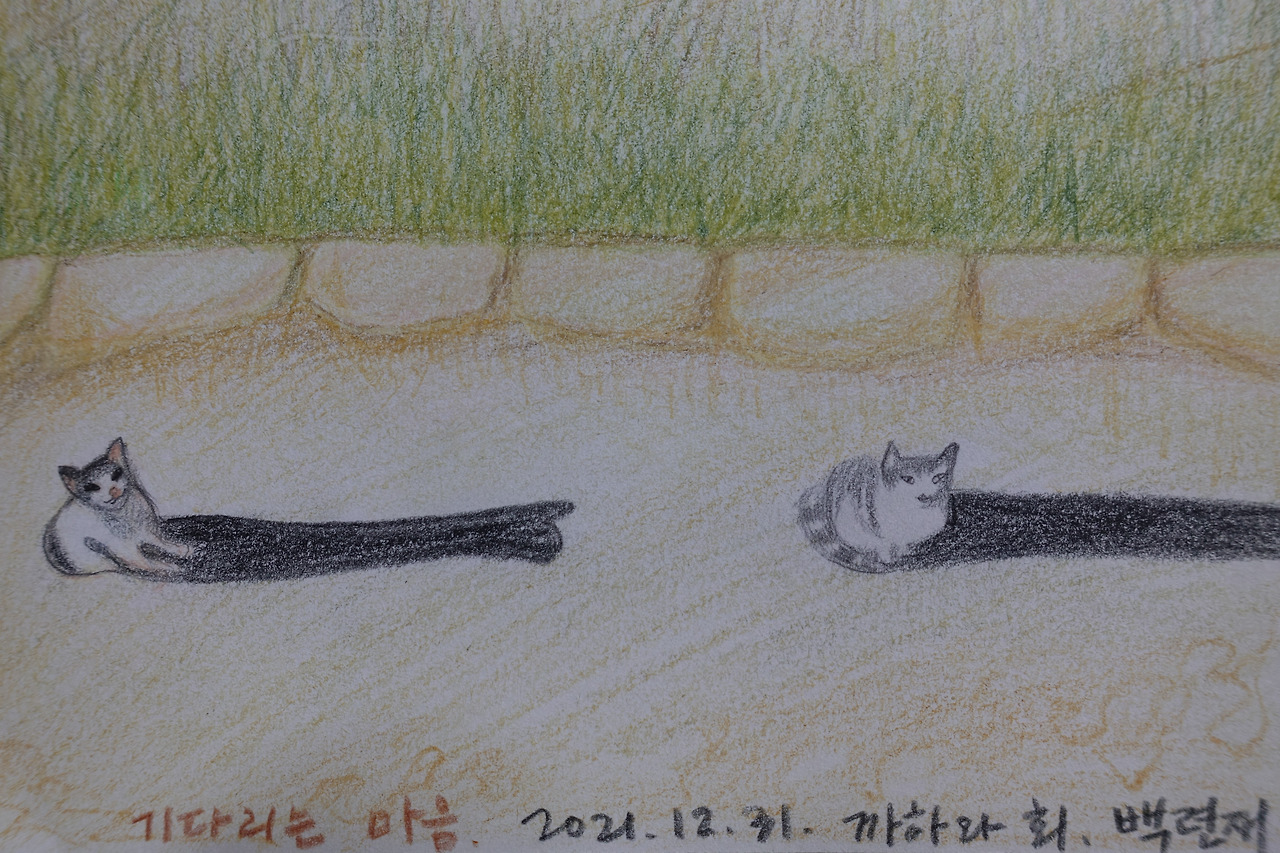 해남 백련재 정원일기 5'.jpg