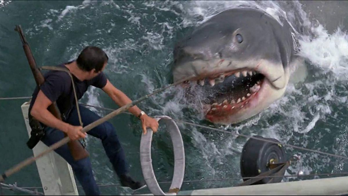 jaws.jpg
