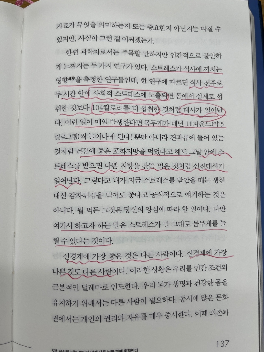 KakaoTalk_20230706_065944661_01.jpg