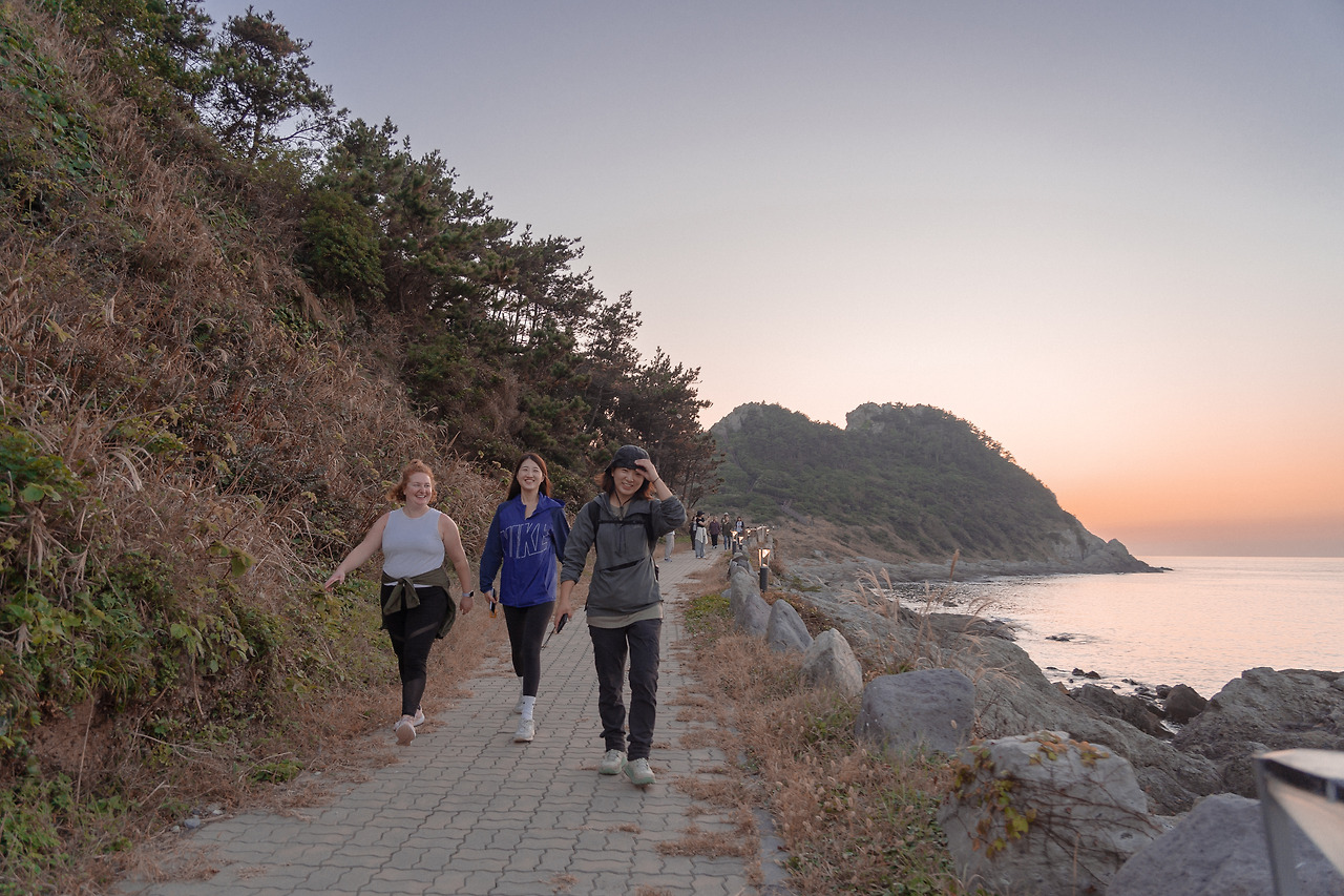 추자도160 (1).jpg