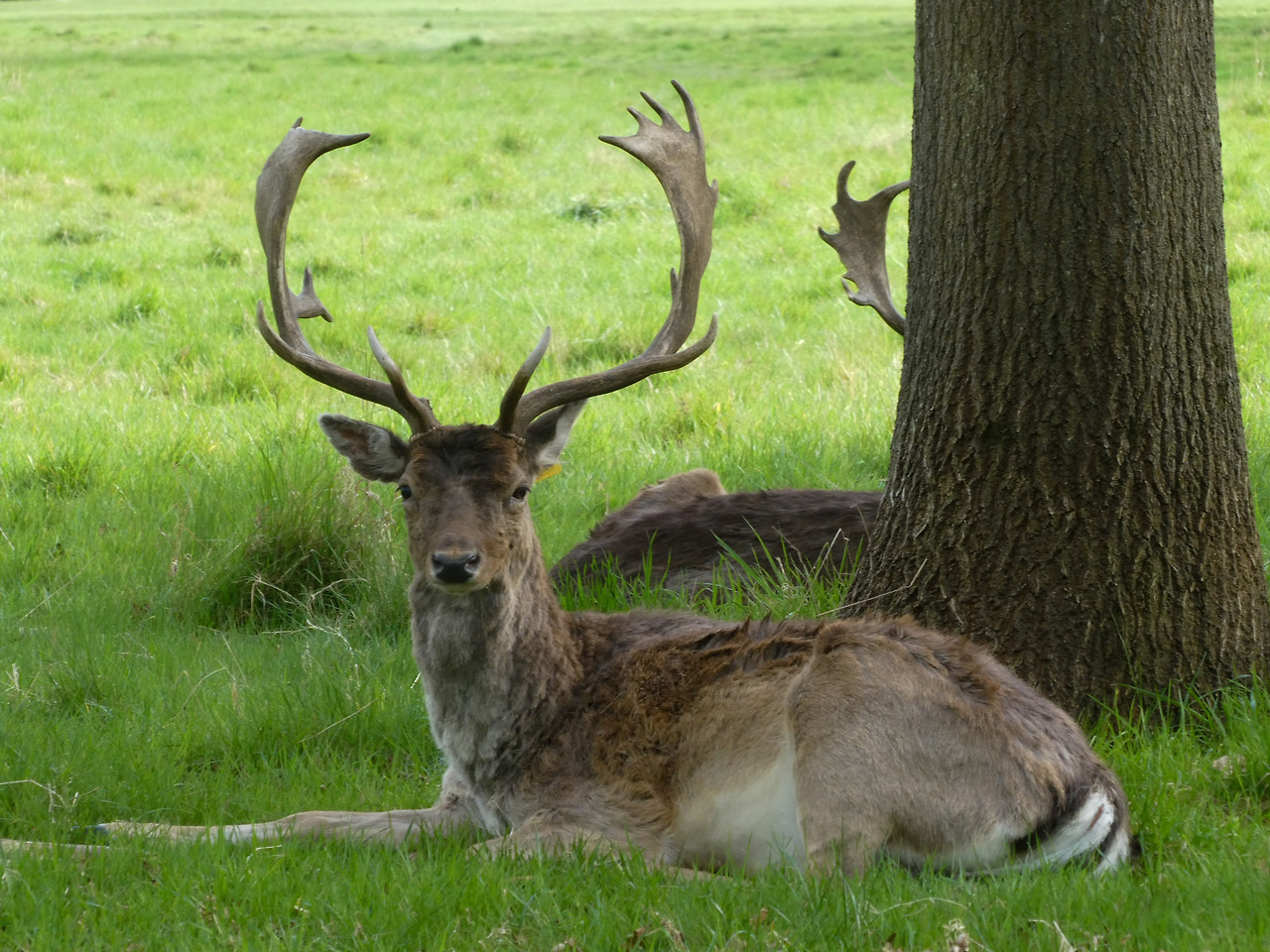 1650822137536 (1).jpg