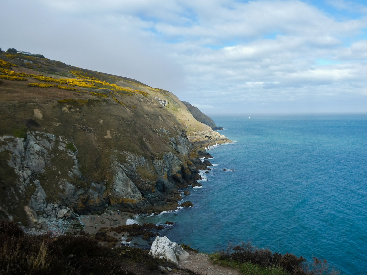 1650822370872 (1).jpg