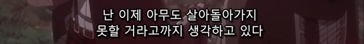 리바이 엘빈.jpg