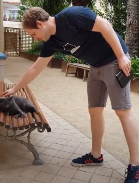 Screen Capture 042 - Video - Google Photos - photos.google.com.jpg