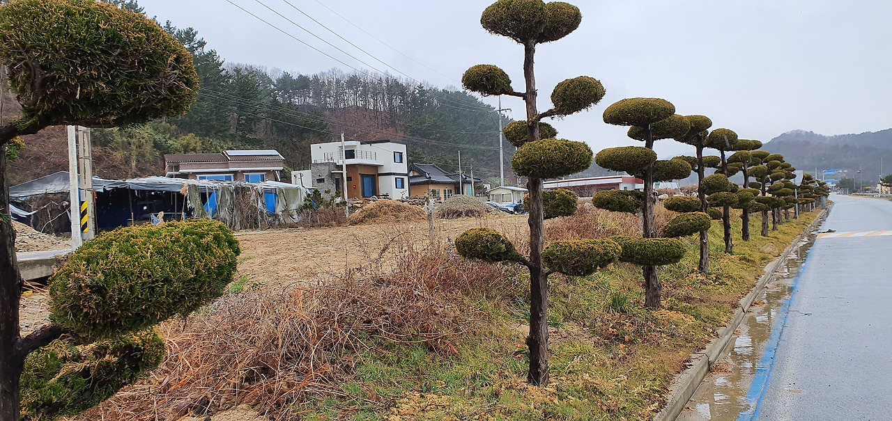 26화 혼자 걷는 해파랑길, 밤바다를 파도와 함께 걷는다