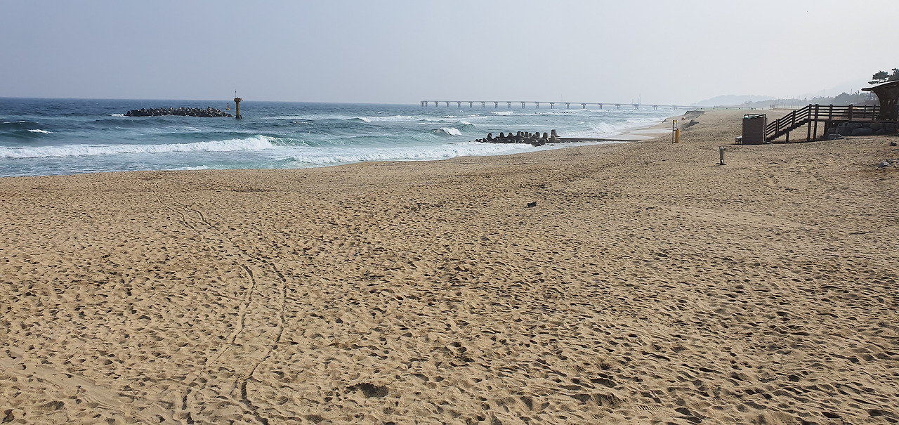 20200215_115854_38코스 남항진해변.jpg