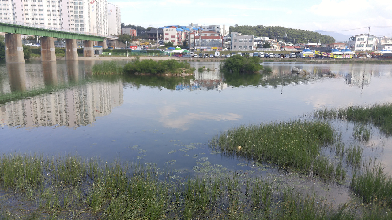 강릉_2018 (272).jpg