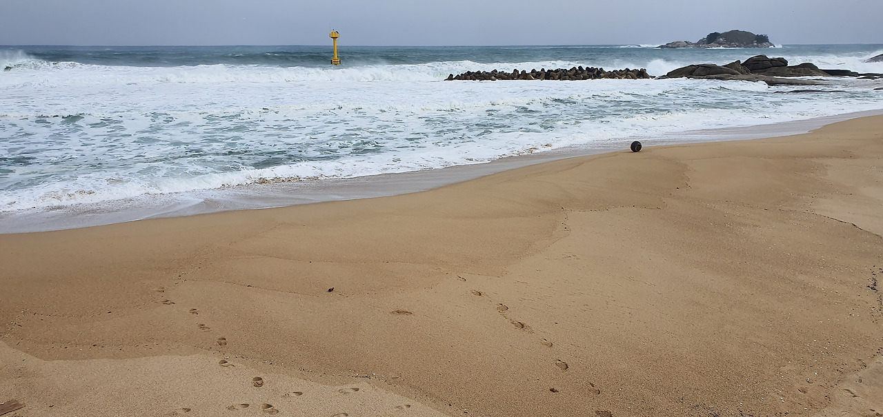 20200217_121610_46코스 봉포해변.jpg