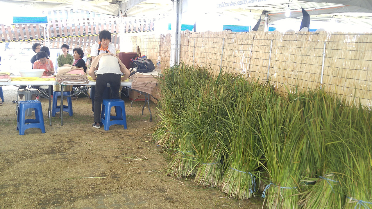 강릉_2018 (280).jpg