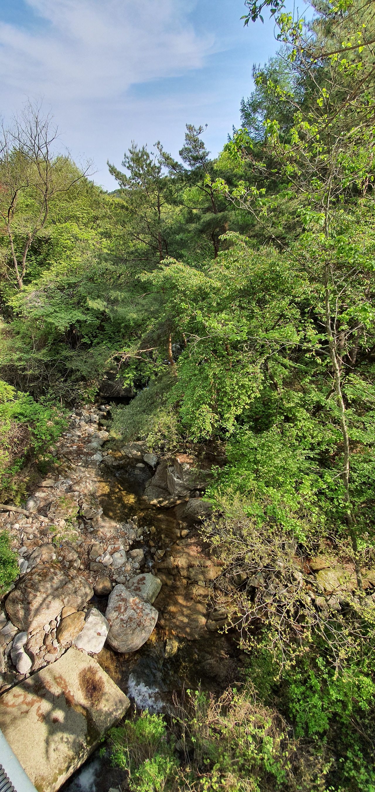 20210426_093335_남원 운봉.jpg