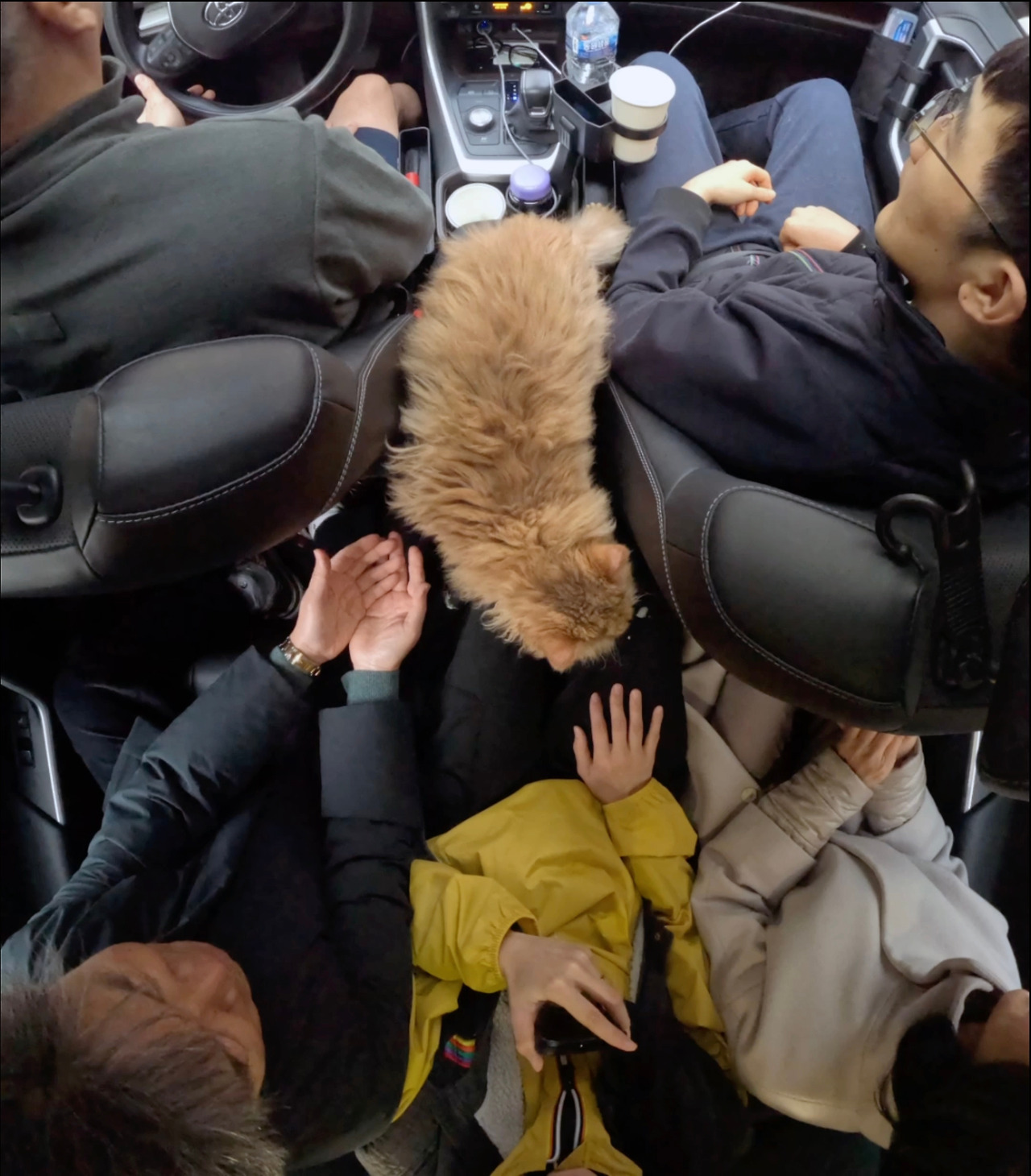 강나영, 하늘, 바람, 땅 The Sky, the Breeze, the Earth, 2025, 스티로폼, 핸디코트, 프로젝터 Polystyrene foam, putty, projector, 180x250x60(h).jpg