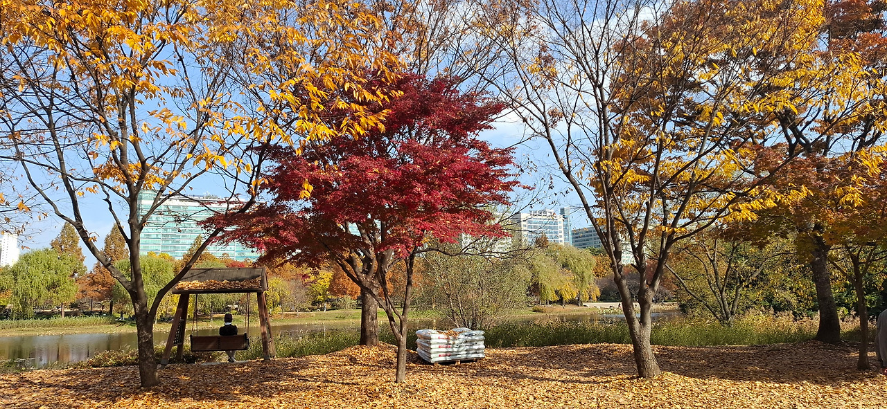 가을10.jpg