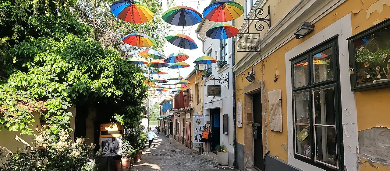 다뉴브강으로 통하는 아름다운 골목.jpg