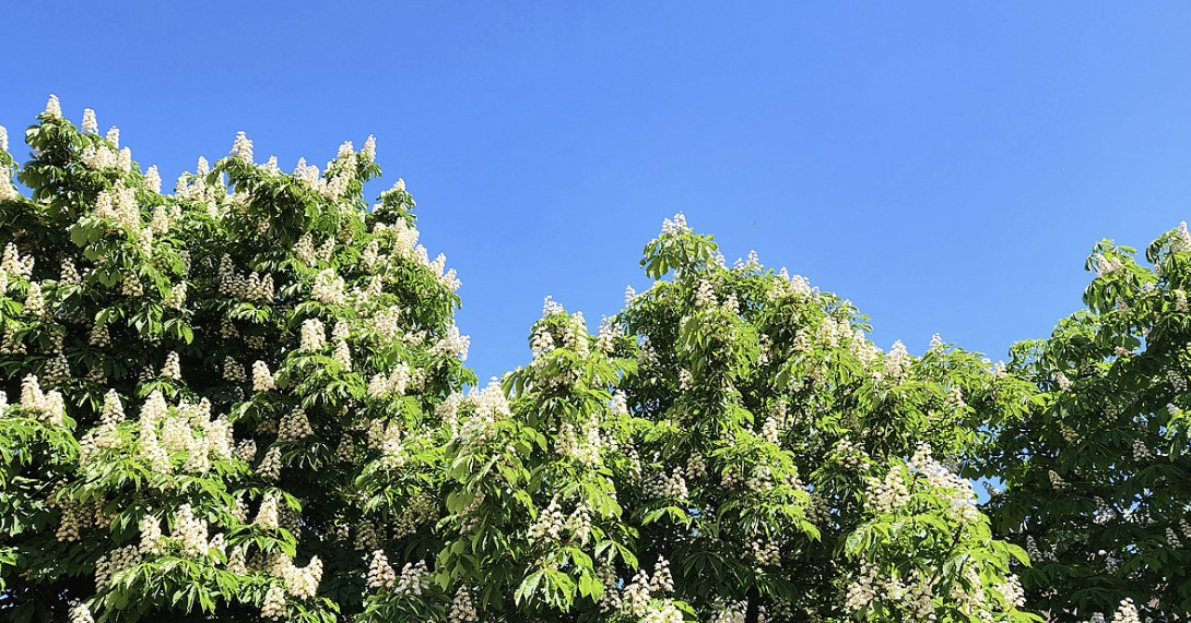 스크린샷 2023-05-21 132034.jpg