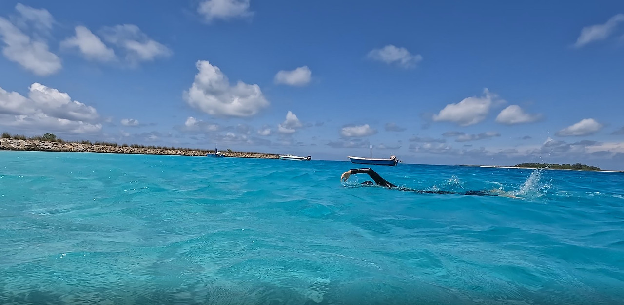 화면 캡처 2025-04-02 183727.jpg