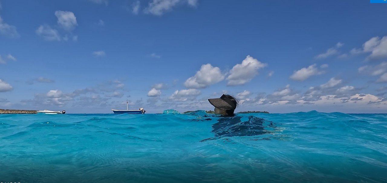 화면 캡처 2025-04-02 183442.jpg