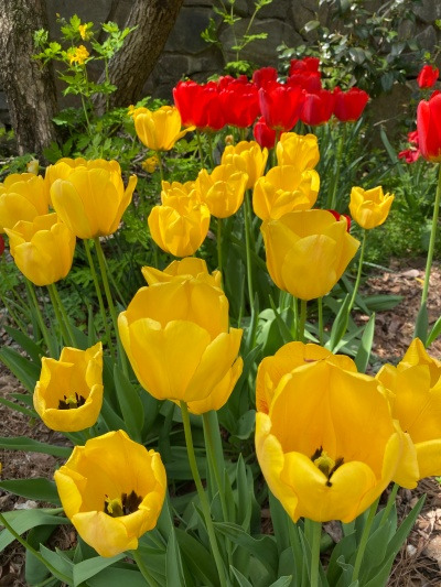 20220517백한 번 째 기록.jpg