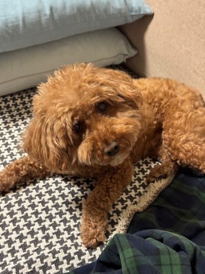 20250701옷 입고 샤워했어?.jpg