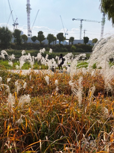 20221030숨만쉬며 살랬다고 정말 숨만 쉬고 사는 거야?.jpg