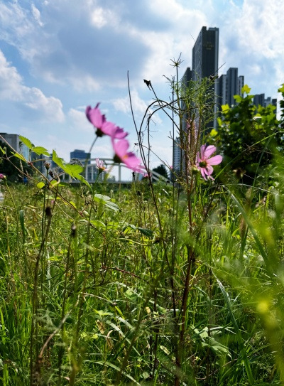 20241002우리엄마는 기운이 나면 안 돼.jpg