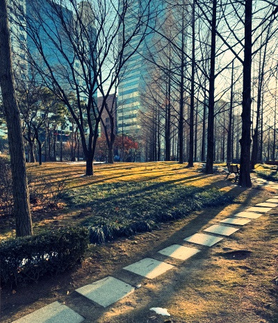 20250208언니는 아직도 거기로 다녀요.jpg