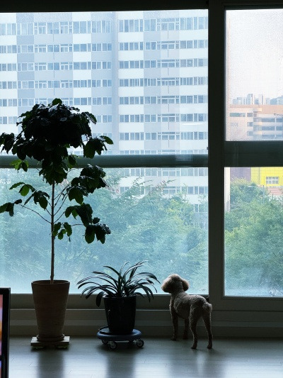 20250902모든 일에 다 이유가 있는 건 아니야.jpg