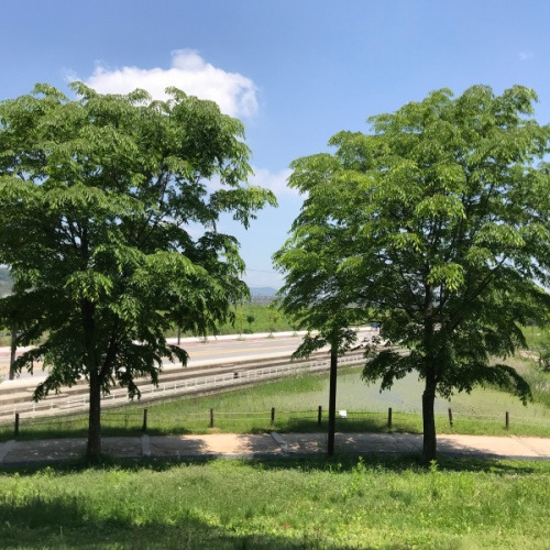 20220521아이폰을 쓰지만 유저는 아닙니다.jpg