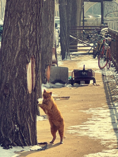 20231229하나라도 하면 되지.jpg