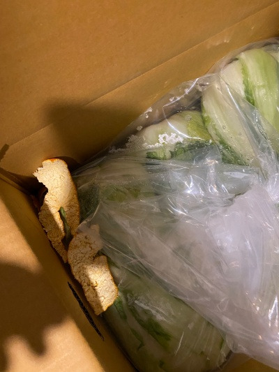 20211217팥 심은 데 콩 났다.jpg