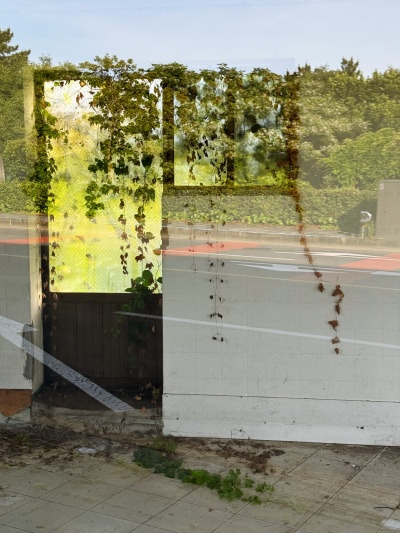 20240520서귀포에 대체 뭐가 있는데?.jpg