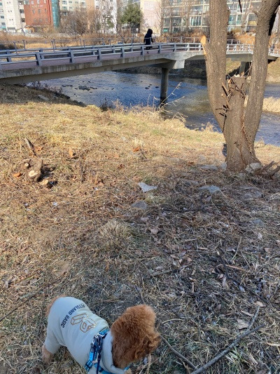 20220114도대체 얘가 왜 이러는 걸까요.jpg